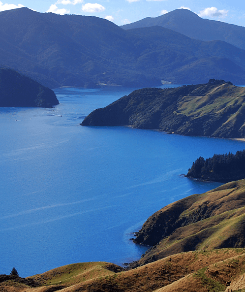 Day 11: Marlborough Sounds