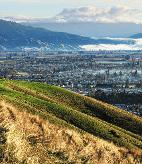 Day 9: Cambridge/Auckland (or Blenheim - longer tour)