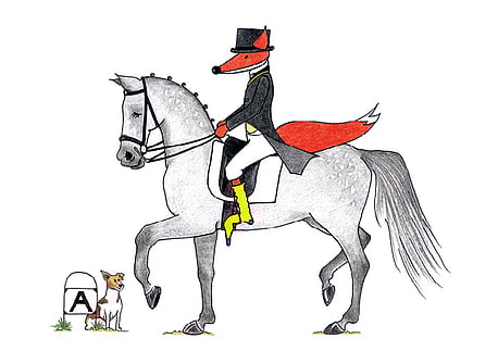 Dressage Fox