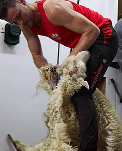 SHEARING