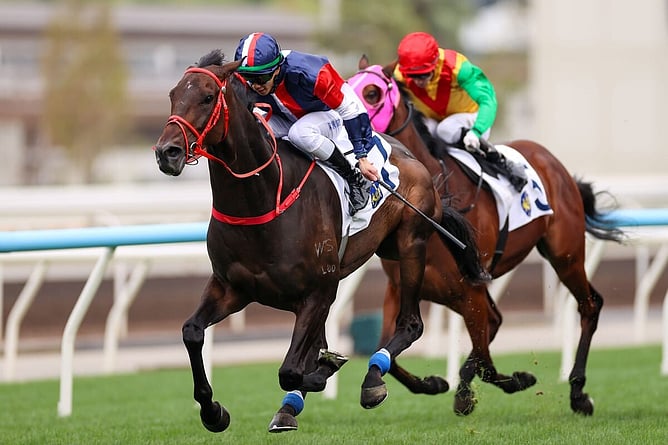 Numbers winning the Gr.3 Centenary Vase at Sha Tin on Sunday.  - Photo: Hong Kong Jockey Club