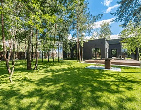 Tree Disputes &ndash; Lessons from Roberts v Ho