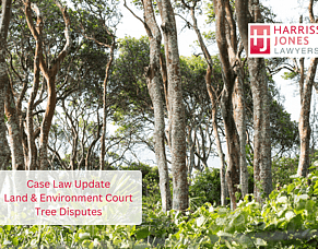 What a Recent Tree Dispute Case Tells NSW Property Owners