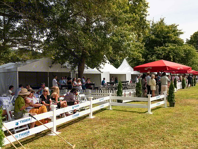 Marquee set up on lawn with outdoor lounge and bar area &ndash; Auckland outdoor event hire with marquee and accessories