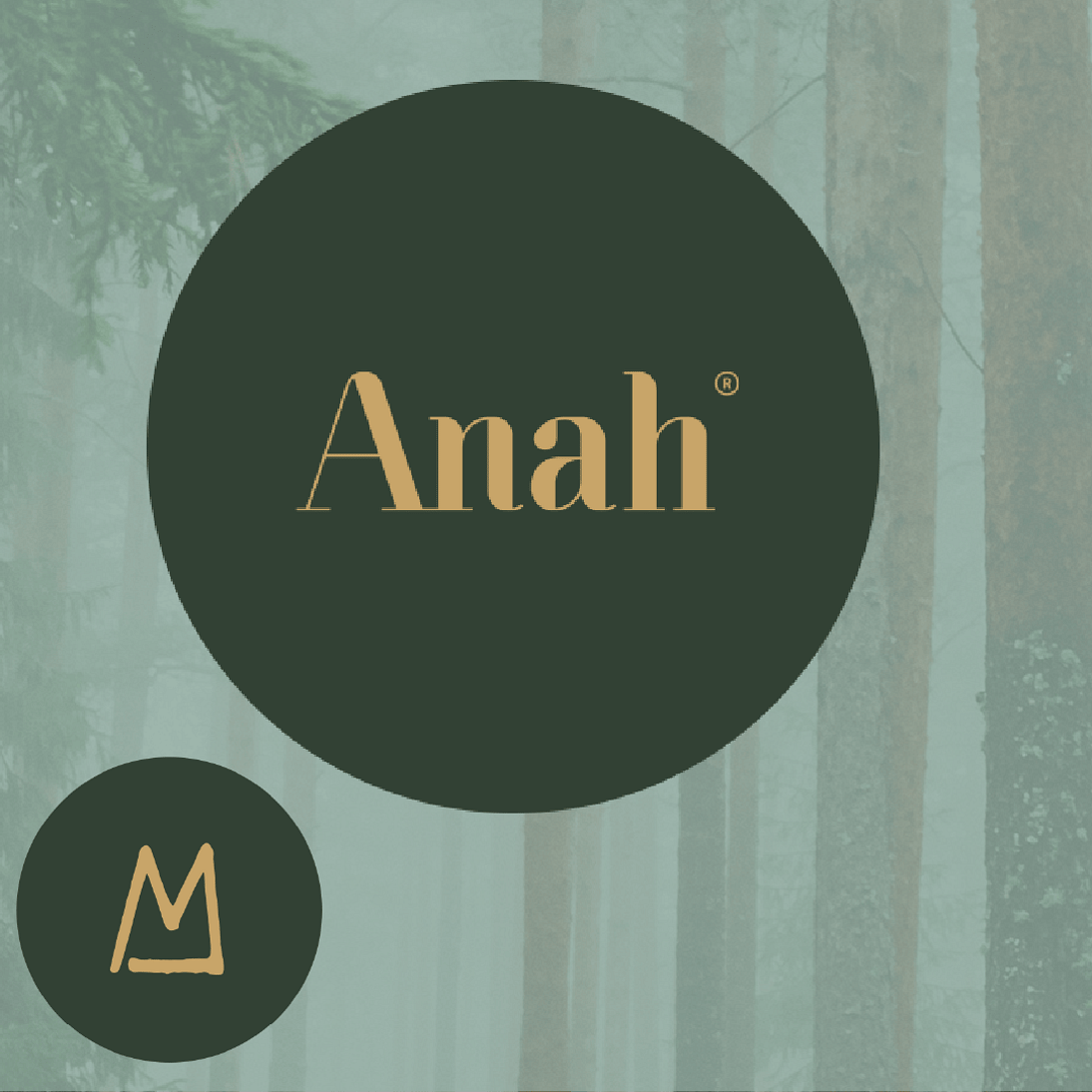Anah Aikman brand identity monogram logo mark &mdash; graphic design by Scooch Marketing Timaru