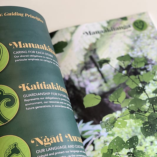 Ute branding in progress back