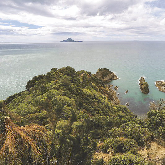 Ute branding secondary colour