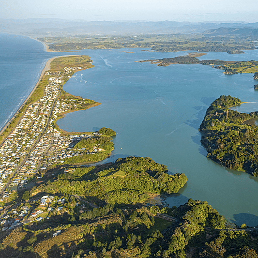 Ute branding in progress back