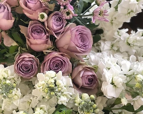 Auckland seasonal flower subscription bouquet arrangement