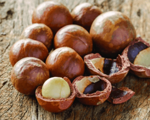 Matakana Botanicals' Macadamia nut oil is rich in palmitoleic acid, a fatty acid that contains numerous anti-aging compounds. 