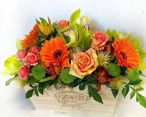 Baby celebration flowers with delivery across Whangaparāoa