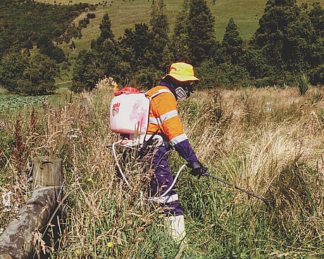 Targeted maintenance