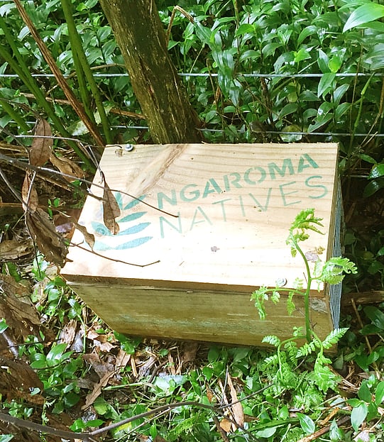 Image of pest control by Ngaroma Natives. Waikato, New Zealand