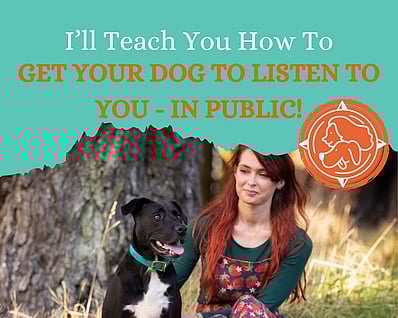 Online dog training club