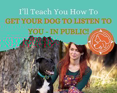 Online dog training club