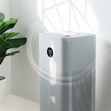 air purification system