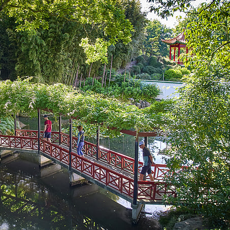 Craig Brown Photographer's image of people at the Hamilton Gardens