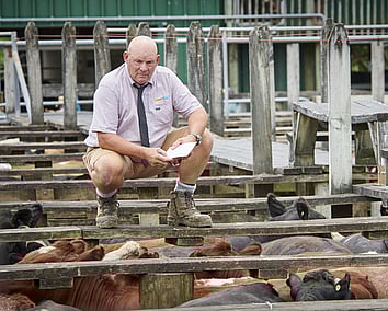 Craig Brown Photographer's image of a man at stock sale yards