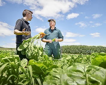 Craig Brown Photographer's image of two men in a field of vegetables