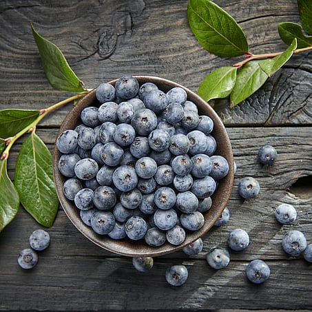 Craig Brown Photographer's studio shot of a blueberries in a bowl