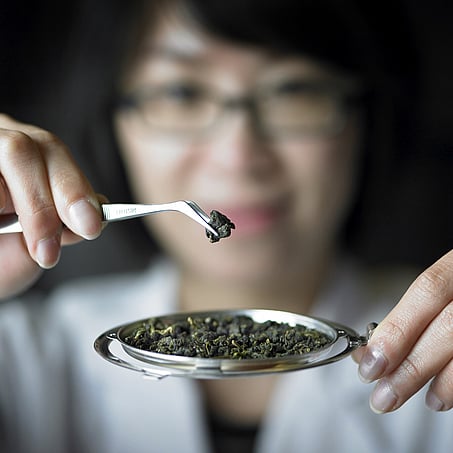 Craig Brown Photographer's image of lady examining tea