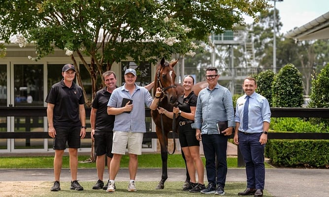 Sale-topper - the Kiwi bred Ghaiyyath (IRE) colt from Berg Den Dal.