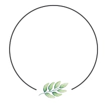 Mind, Body & Spirit Therapy. Access bars, Colour therapy, Kinesiology by Sage & Stone Te Awamutu Waikato