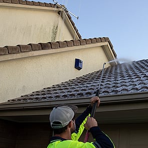 Roof moss treatments