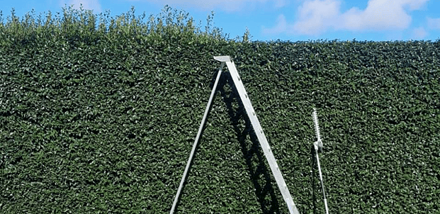 Hedge trimming - + green waste removal