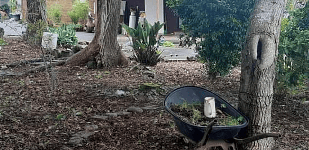 Weed control - Enquire now