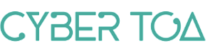 www.cybertoa.com