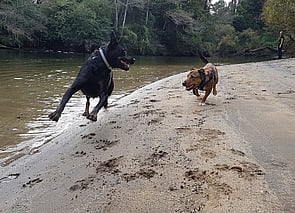 More on our service...