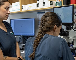 Why an in-house laboratory matters