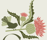 New Programme Alert!