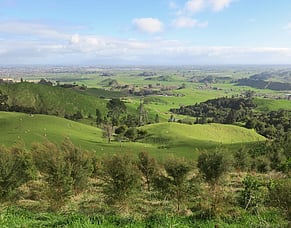 NZ Farm Forestry Association Conference