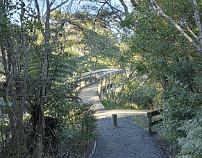 100 Day Commitment to Self