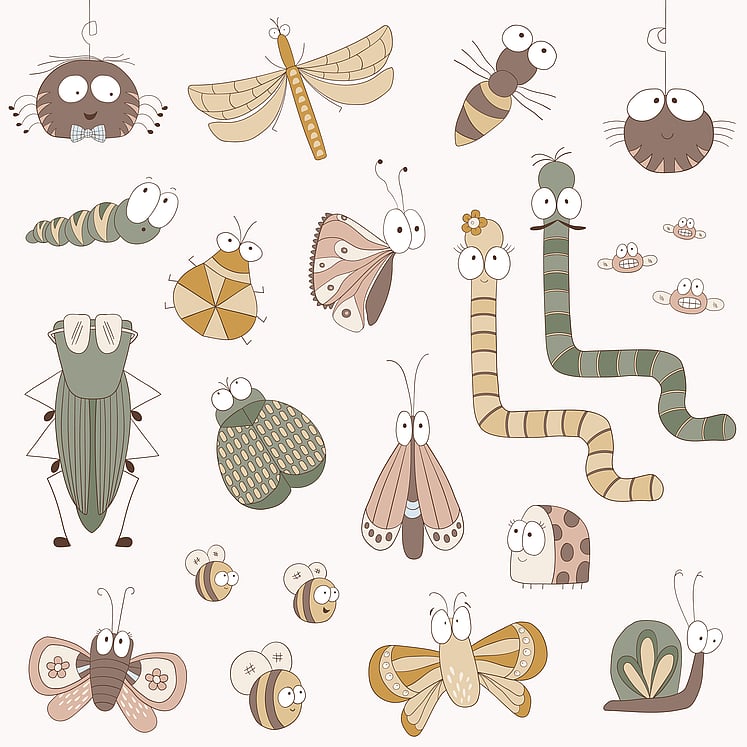 Digital illustration of bugs. By New Zealand illustrator Kelly Boxell, Creative Box