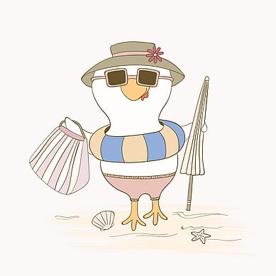 Design & Illustrations. Creative Box, Te Awamutu. Waikato, New Zealand