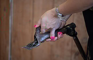 Social Media Packages