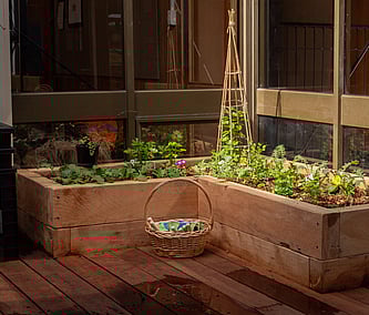 Sustainable, eco-friendly childcare centre | Early Learning Centre at Little Moas | Auckland Mt Wellington