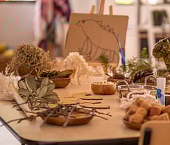 Nature play for environmental learning  | Little Moa's ELC