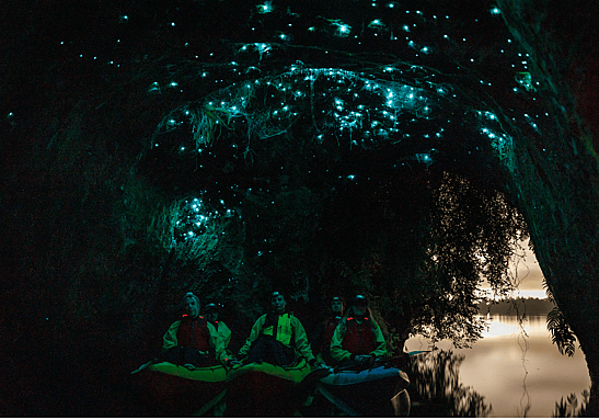 Glow Worm Adventure Kayak in Rotorua New Zealand