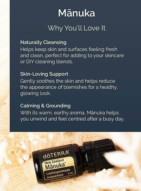 Why you will love Manuka Essential Oil and an image of the oil