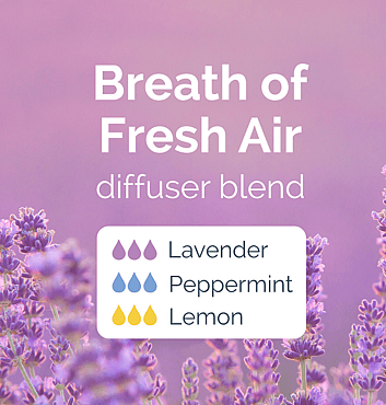 Breath of Fresh Air Diffuser Blend Recipe on an image of Lavnder