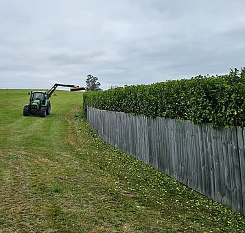 Keep your hedge functional as well as attractive.