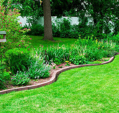 Enhance Landscaping with stump removals