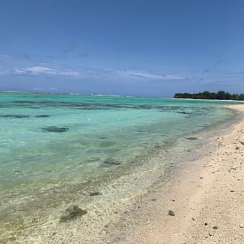 Safe swimming and access to kayaks for our guests
