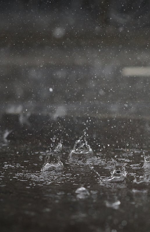 Flooring Specialists Services