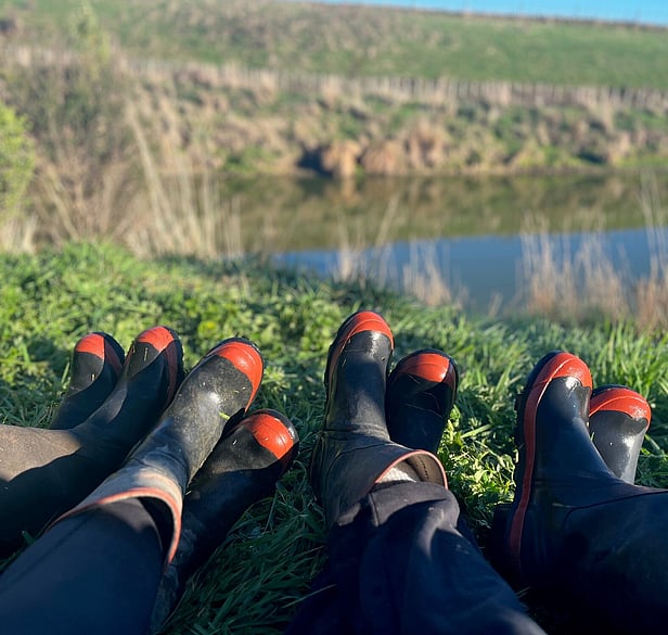 Picture of four woman's pair of gumboots sitting on a dam wall