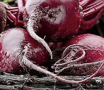 Beetroot Yoghurt Dip